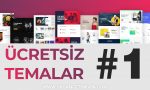 hasancetinkaya-wordpress-ucretsiz-temalar-1